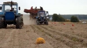 Уборка картофеля комбайнами из СССР