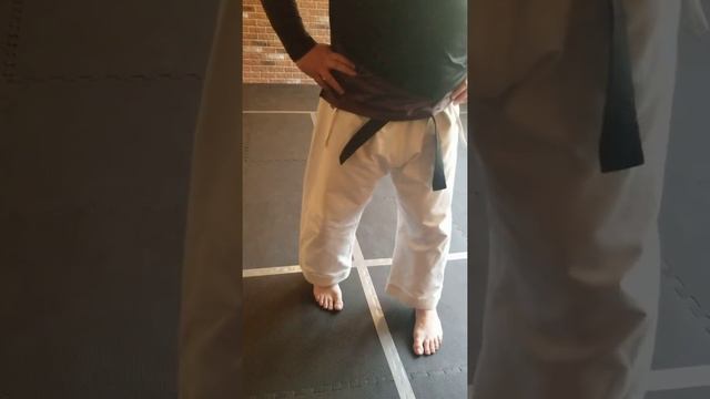 Uechi-ryu Karate 8 step drill part 1 (first four steps) смотреть онлайн