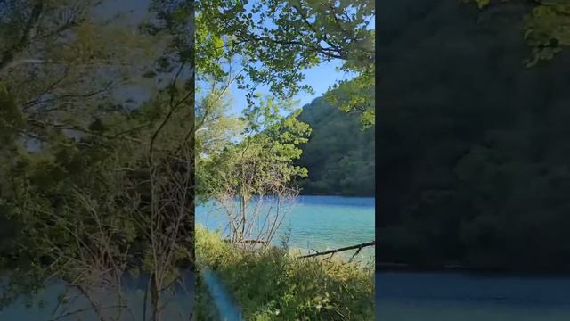 Архипо-Осиповка 24 мая 2024 года 🌿 Автор: Виктория Попова смотреть онлайн