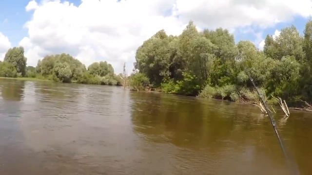 Рыбалка со stigan'ом - Судаки на деревьях и берши в корягах. Прикол на рыбалке смотреть онлайн