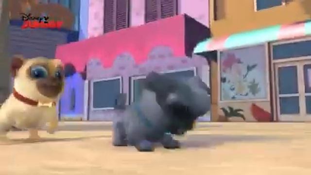 Bingo Y Rolly  Disney Junior Music Party   Compila240P