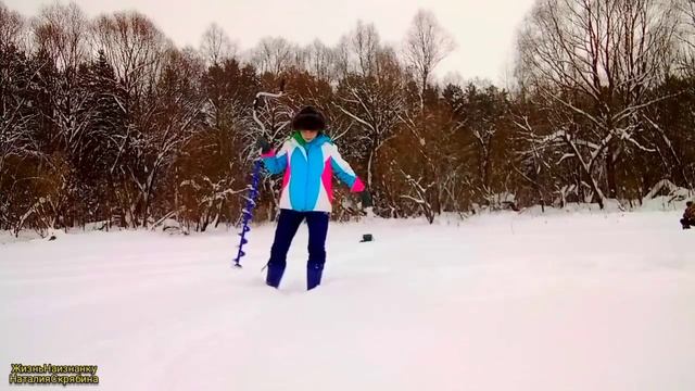 ЗИМНЯЯ РЫБАЛКА ПОД УХТЫМОМ. ТАКОЕ ЧУДО Я НИКОГДА НЕ ЛОВИЛА.ЯНВАРЬ 2024.
