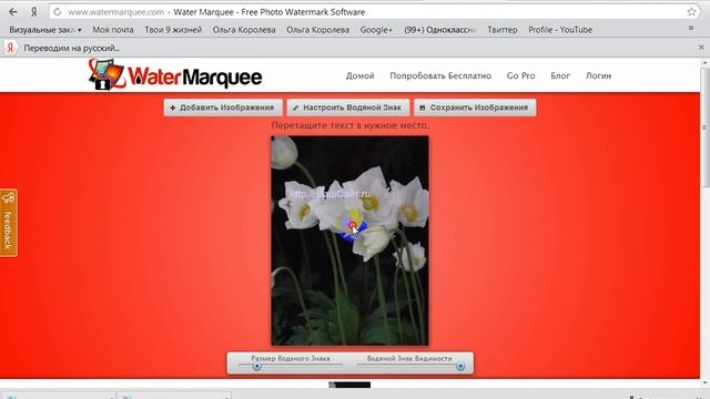 Как нанести водяные знаки на изображение без фотошопа смотреть онлайн