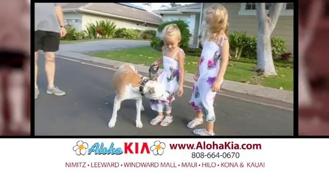 Aloha Kia Labor Day Soul Rio Price 2017 смотреть онлайн