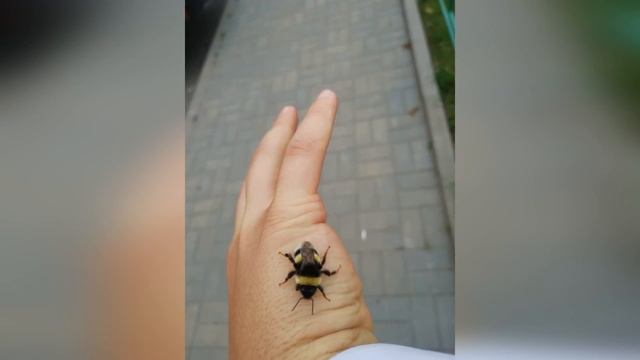 Моя любимая работа,мое хобби! смотреть онлайн