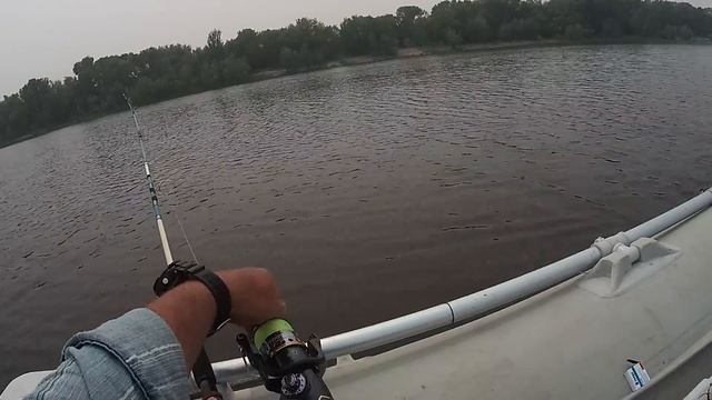 Обзор рыбных мест р Иртыш г Омск 24 07 2019г №48 Рыбалка спининнгом, джиг, тролиннг Затон СРЗ смотреть онлайн