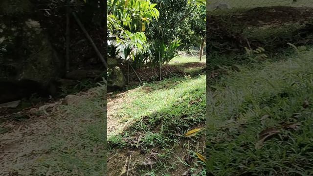 индийский океан