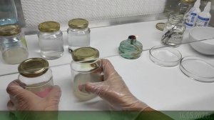 2-2 Второй ПОСЕВ СЕМЯН орхидей, ПЕРЕСАДКА ПОЧЕК орхидей на питательную среду