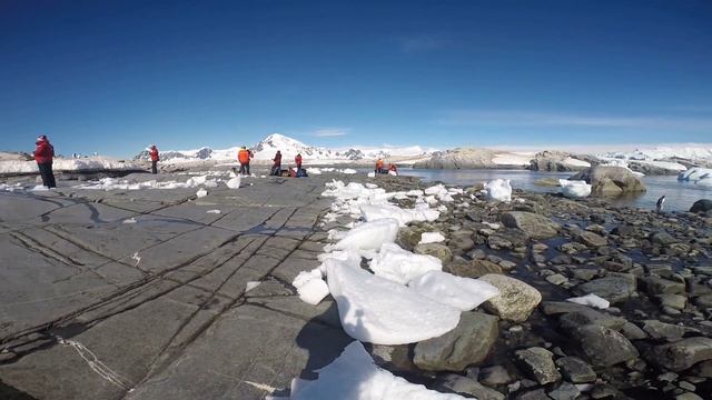 Gentoo Penguins in Useful Island, Antarctica (5/5) смотреть онлайн