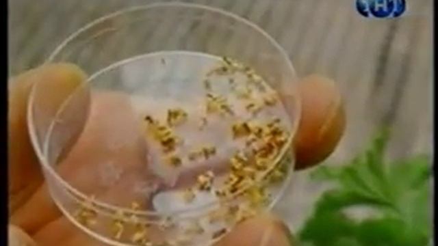 24Как вырастают апельсины без семечек смотреть онлайн