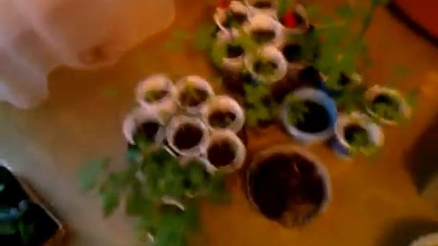 зима в Апреле