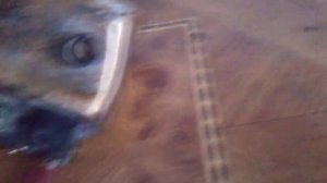 Как проверить реле поворота ИЖРП-4