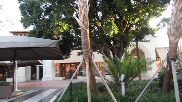 Утро в Майами на Lincoln Road. Белка. 2015.06.19 смотреть онлайн