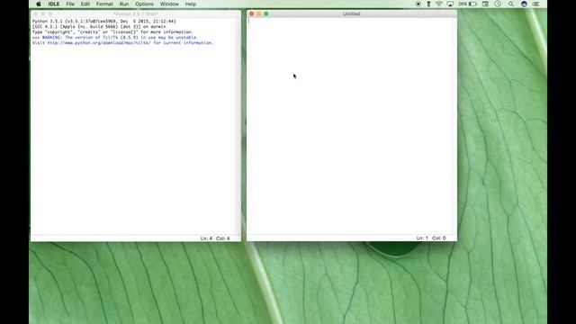 Python IDLE IDE - Getting Started смотреть онлайн