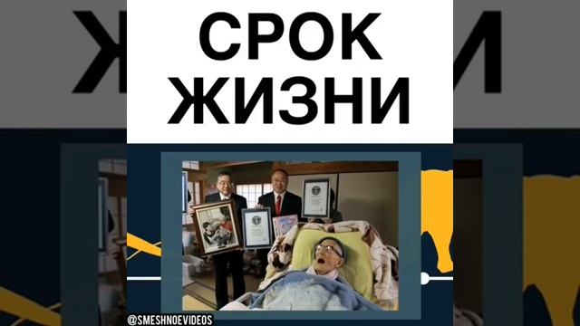 Срок жизни человека отличия от животных! смотреть онлайн