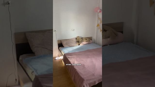 живу со СВОЕЙ ПОДРУГОЙ ? #румтур #обзоркомнаты #живуотдельноотродителей #моякомната #живусподругой смотреть онлайн