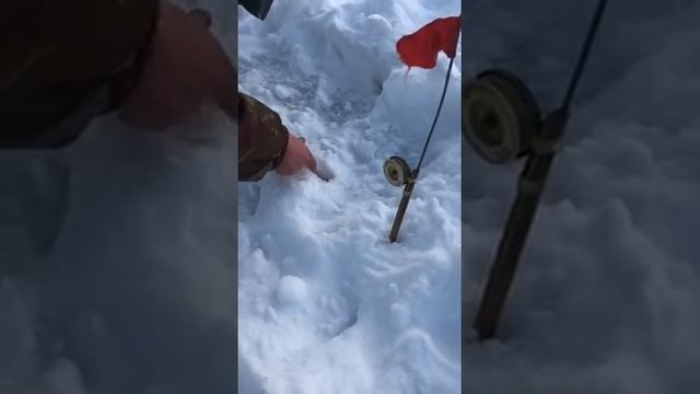 Сработка на жерлицу смотреть онлайн