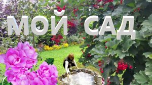 МОЙ САД .  2021 год собран в один ролик.