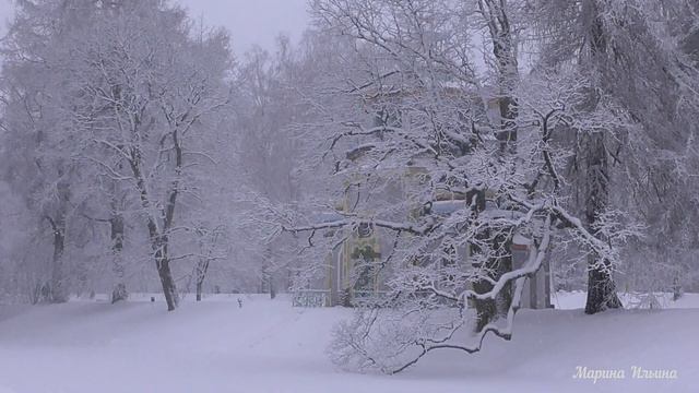 Зимняя красота вернулась в Царское Село. Winter beauty has returned to Tsarskoe Selo. смотреть онлайн