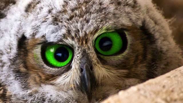 Верность неземная. Новинка просто прелесть! Вы прост... смотреть онлайн