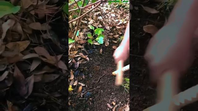 Этот способ действительно работает? Как быстро набрать червей для рыбалки. смотреть онлайн