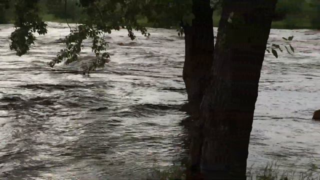 Шилка 8 июля 2018 смотреть онлайн