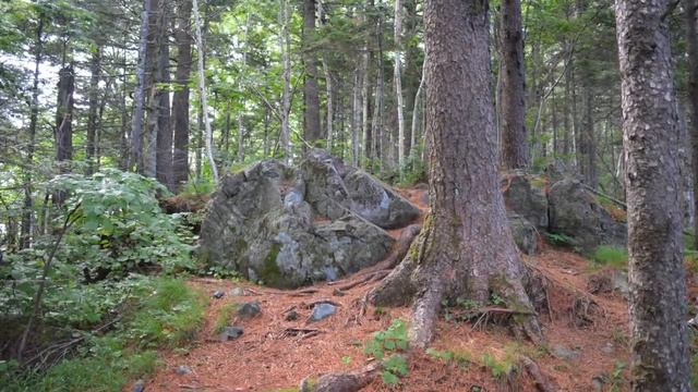 Гора Литовка (Фалаза) 1279 метров.