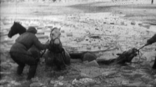 General Vlasov and massacre of Russian army in WWII смотреть онлайн
