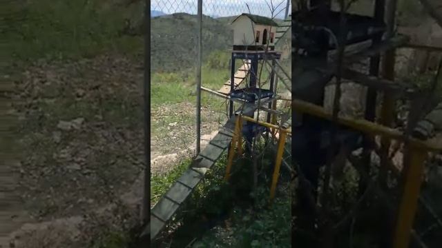 Спасение птиц