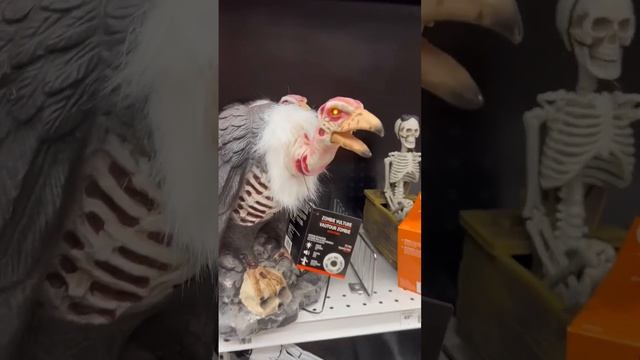 Let’s see a Zombie Bird ?? #shorts #halloween #scary #zombie смотреть онлайн