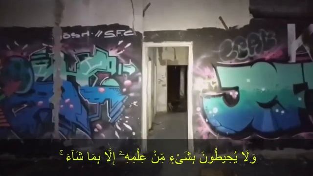 Страшные существа, снятые на видео - прочтите этот АЯТ, Аллах защитит вас