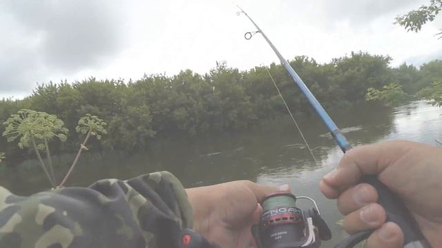 Воблер TsuYoki SWING SR 35F на реке смотреть онлайн