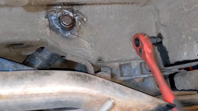 Грибной улов в лесу