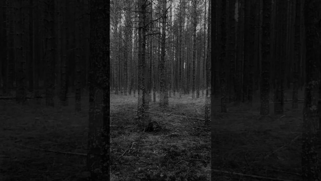 Alienations - Мне не жаль #shortsvideo #music #alienations #рок #wood #relax #atmospheric #rockstar смотреть онлайн