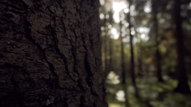 МЛАДЕНЕЦ кряхтел на ступенях ВОДООТСТОЙНИКА! Если бы не ПЁС то.. смотреть онлайн