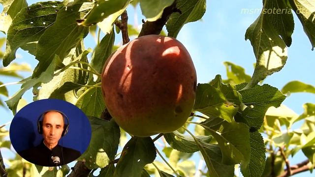 Христианские Стихи: Вездесущему, Вознести Христа, Сосуды Господни смотреть онлайн