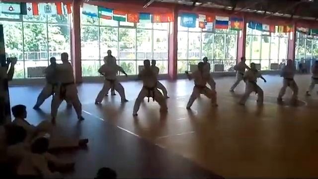 Каратэ Кекусин-кан в Калининграде смотреть онлайн