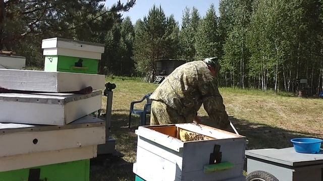 Устанавливаем разделительные решетки, ограничиваем место для засева смотреть онлайн