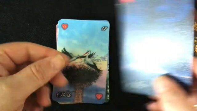 Lenormand-Solitaire: An Imaginative 2-deck Oracle Card Set Flip Through (2018) смотреть онлайн
