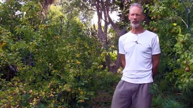 The Guytons Forest Garden • Temperate Climate • Overview смотреть онлайн