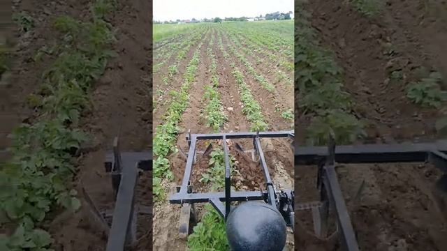 Окучування картоплі. Булат 200 смотреть онлайн