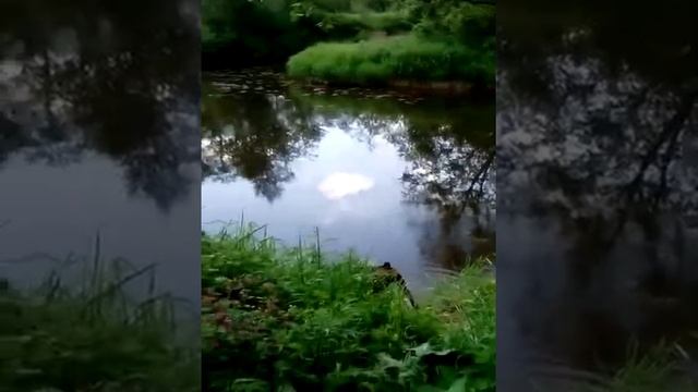 Ренни в деревне смотреть онлайн