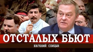Эпоха всеобщей апатии, или Новый кризис общественного сознания (Спицын, Рычков)