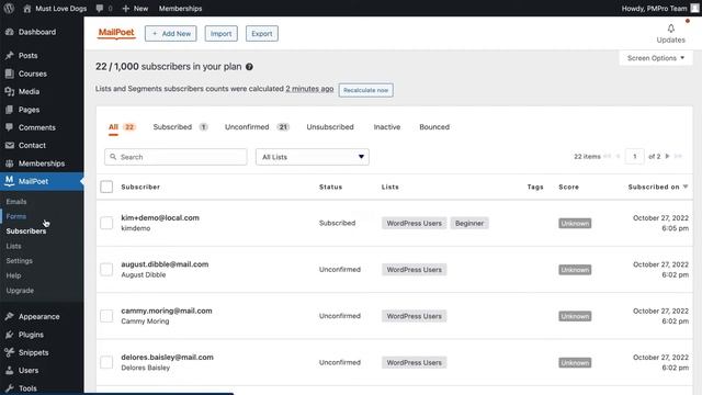 How to Create a Paid Newsletter Membership Site with MailPoet смотреть онлайн