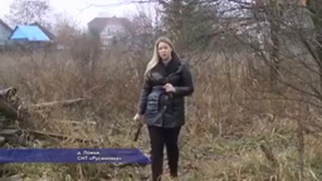 Солнечногорье побило рекорд прошлого года по пожарам смотреть онлайн