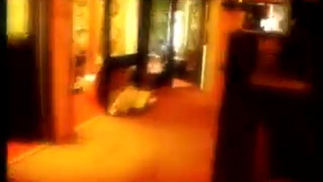 Mental Overdrive - Cheese Royale смотреть онлайн