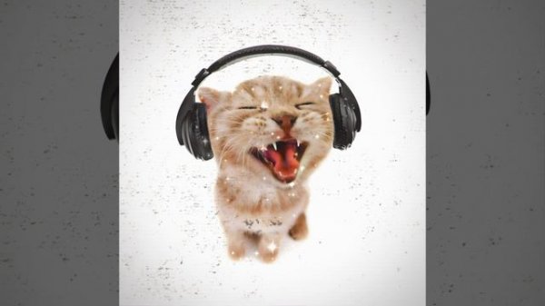 CHIPI CHIPI CHAPA CHAPA (Phonk Remix)