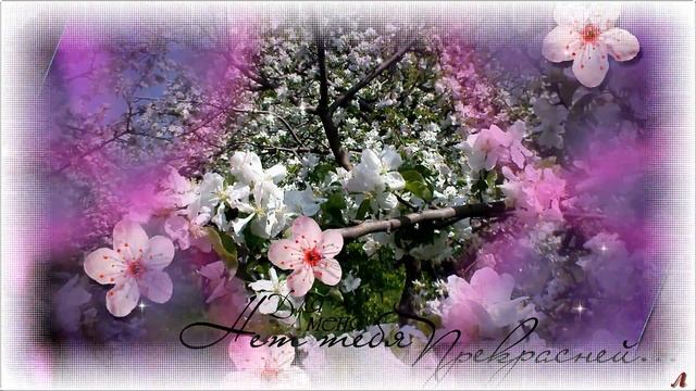 Сергей Орлов - Вишня белая смотреть онлайн