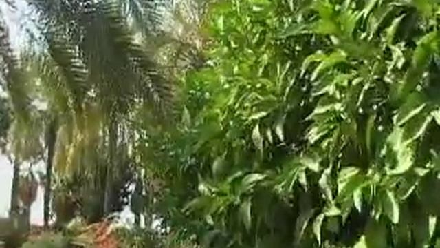 Nature Video смотреть онлайн