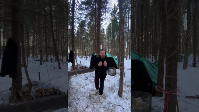 Живет в лесу. Читает мысли🫣 смотреть онлайн